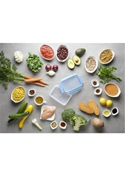 Masterseal Fresh 5'li Saklama Kabı Seti Mavi Bakteri Oluşumunu Engelleyen Tasarım