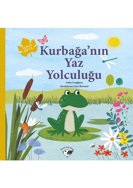 Kurbağa’nın Yaz Yolculuğu – Doğada Bir Yıl
