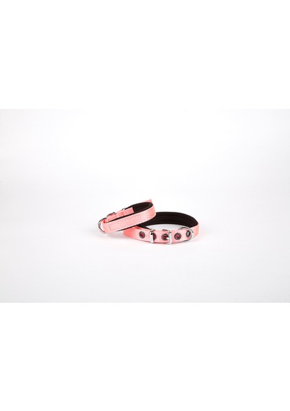 Softlu Köpek Boyun Tasması 1,5 cm x 30 cm Pembe - Lisinya