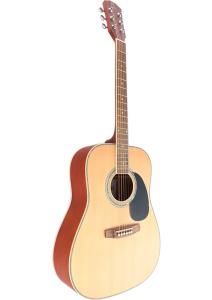 F800N Akustik Gitar