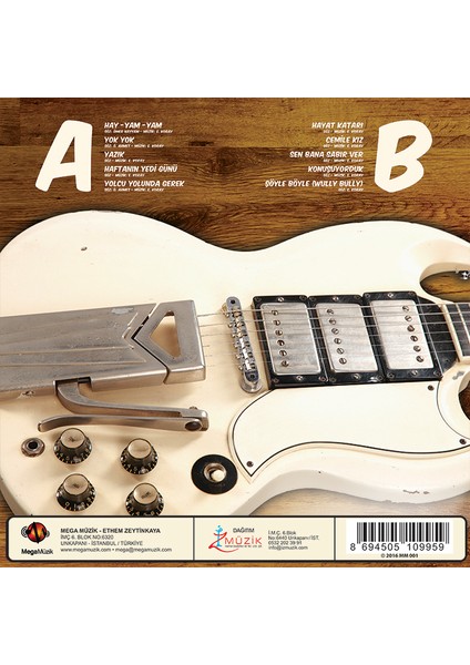 Erkin Koray - Hay .yam .yam (Plak) fiyatları