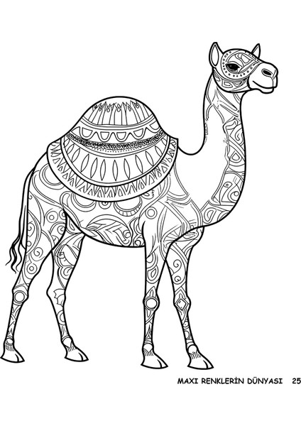 Renklerin Dünyası 2025/02