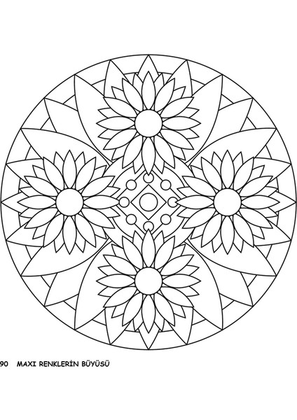 Renklerin Büyüsü 2025/02 modelleri