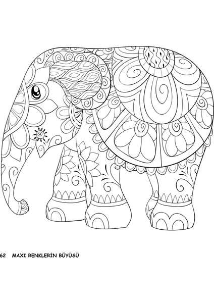 Renklerin Büyüsü 2025/02 fırsatları