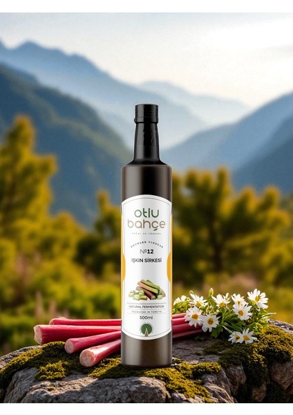 Işkın Sirkesi, Işgın Sirkesi, Işgın Vinegar, Rheum Ribes 500ml. fırsatları
