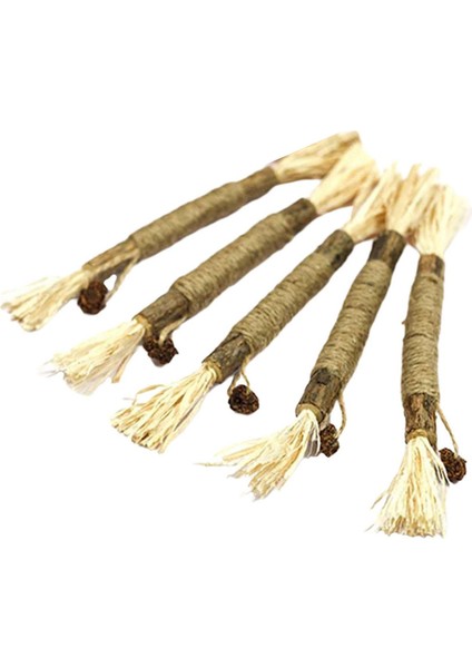 5 Çubuk Ği Çiğ Oyuncağı Molar Temizleme (Yurt Dışından) fiyatları