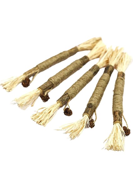 5 Çubuk Ği Çiğ Oyuncağı Molar Temizleme (Yurt Dışından) fırsatları