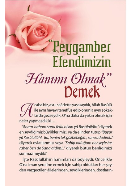 Müminlerin Anneleri (10 Kitap - Kutulu) - Halime Demireşik fırsatları