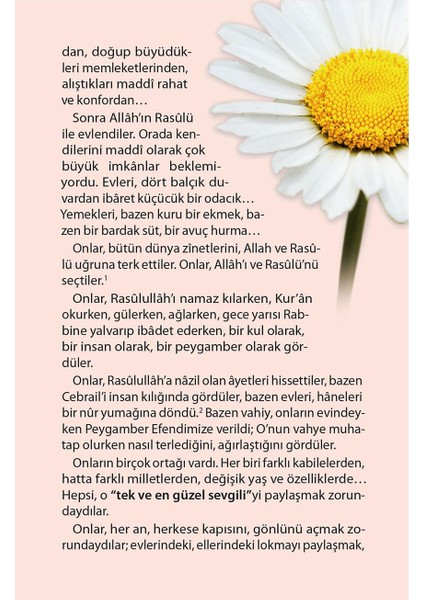 Müminlerin Anneleri (10 Kitap - Kutulu) - Halime Demireşik indirimleri