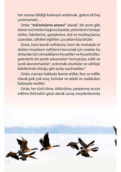 Müminlerin Anneleri (10 Kitap - Kutulu) - Halime Demireşik