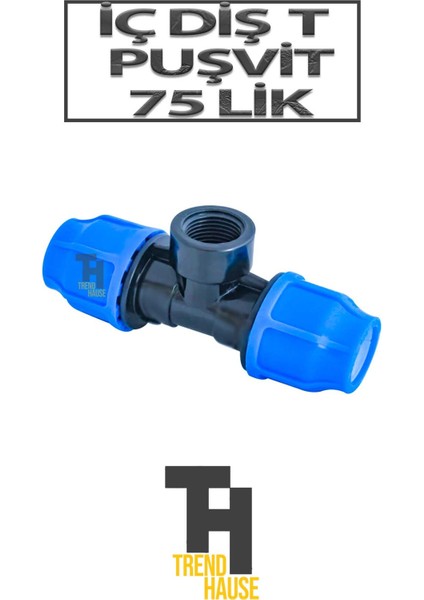Iç Diş Te Puşvit 75'lik