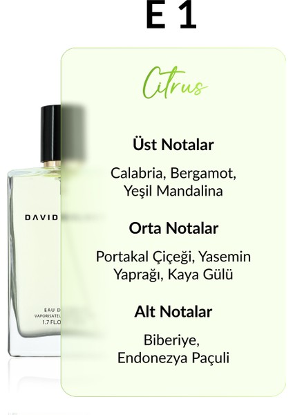 E1 Diegos Erkek Parfümü 50 ml fiyatları