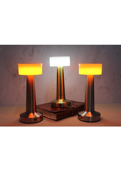 Masaüstü Dokunmatik Ledli Lamba Model 4 modelleri