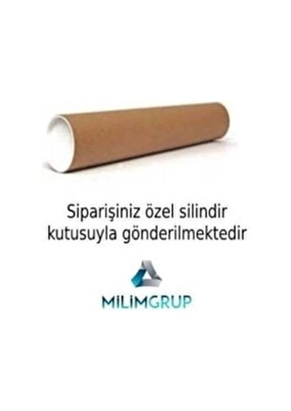 Mat Siyah Far Filmi Esnek Yapı 30 cm x 1 Metre Araç Dış Aksesuar fiyatları
