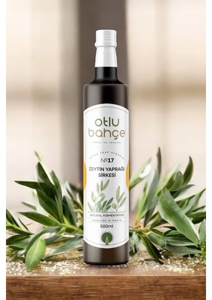 Doğal Fermantasyon Zeytin Yaprağı Sirkesi 500ML (Natural Fermentation Olive Leaf Vinegar)