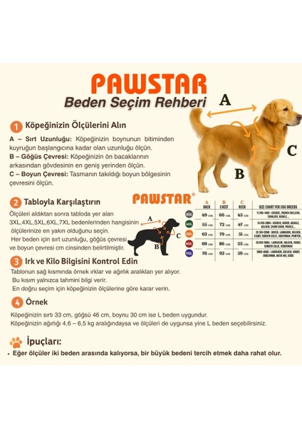 Mint Pooh's Ashdown Tigger Köpek Sweati Köpek Kıyafeti Orta-Büyük Irklar İçin fiyatları