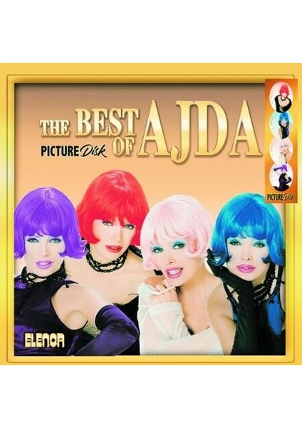 The Best Of Ajda (Picture Disc) Lp Plak