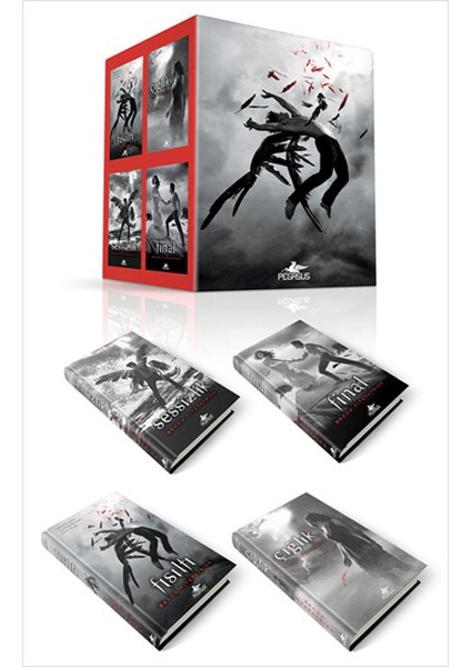 Hush Hush Serisi Seti (4 Kitap)