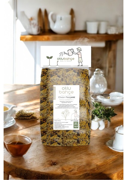 Civan Perçemi, Ayvadana, Yarrow 30G