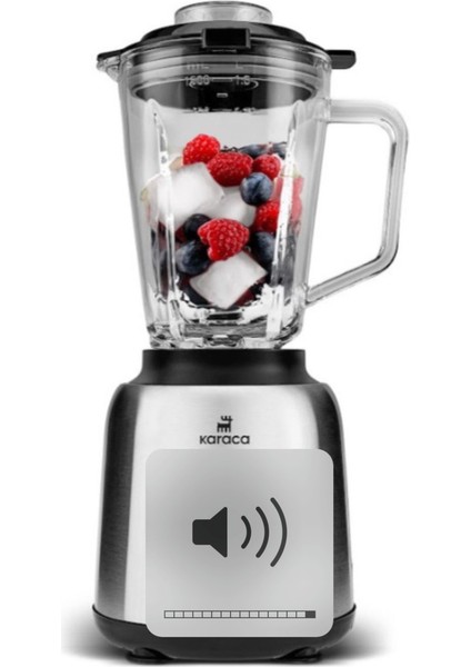 Inox Cam Hazneli, 1000W Güçlü Smoothie Blender, Buz Kırma Özellikli