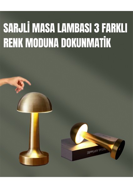 Zeroshop %100 Kademeli Ayarlanabilir Işık – USB Şarjlı Masa Lambası