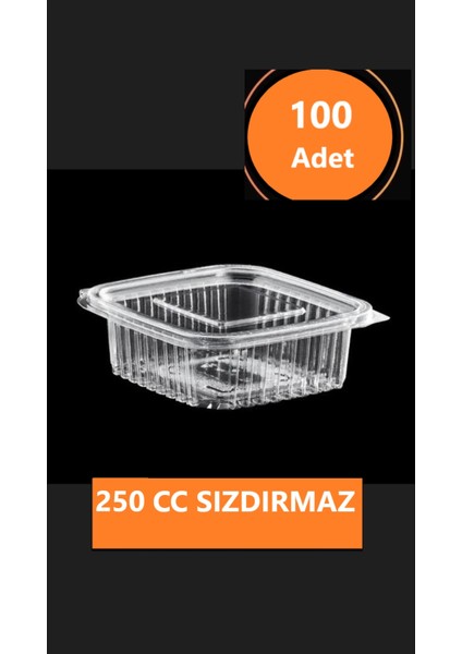 Sızdırmaz 250 cc Kapasiteli Düz Kapaklı Saklama Kabı 100 Adet, Gıda ve Dondurucu Uyumlu