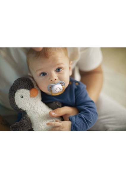 Philips Avent Ultra Air Animals 2li Emzik 0-6 Ay - Erkek