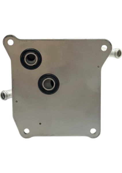 Nıssan Soğutucu Yağ Micra 1.2 Dıg-T 10-18 modelleri