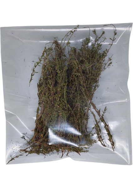 Dağ Kekiği ( Zahter) 50 gr fiyatları