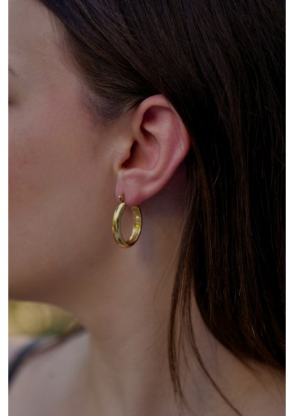 Oturtmalı Oval Halka Model Çiftli Kadın Çelik Küpe fiyatları