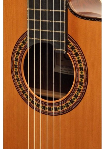 CUT-900C Pro-Blend Elektro Klasik Gitar, Sedir Kapak indirimleri