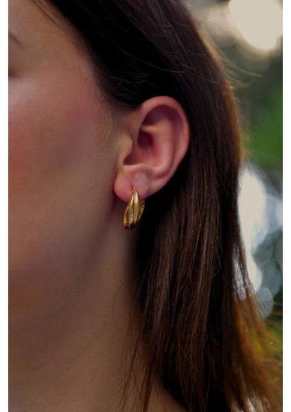 Oval 2 Renk Oturtmalı Kadın Çelik Haka Küpe fiyatları