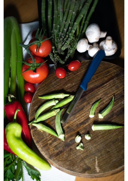 Yeşil Simli Ava Bıçak – 22 Cm, Tırtıklı Ağız, Paslanmaz Alman Çeliği fiyatları