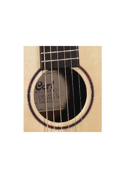 Earthmınıf-Adırondack Op Elektro Akustik Gitar, Çantalı, Open Pore modelleri