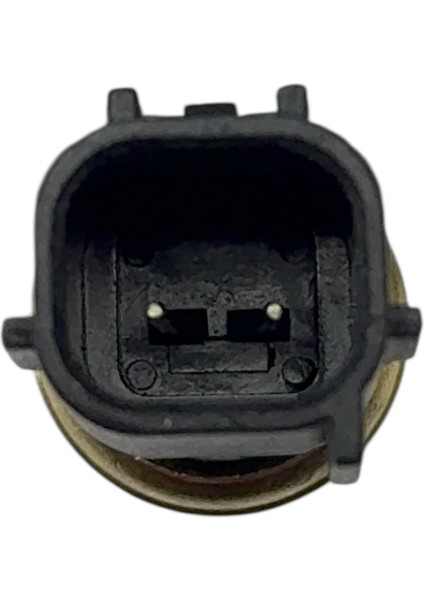 Toyota Müşür Hararet Corolla Hybrid 16-22/auris Hybrid 16-22/chr Hybrid 16-22 modelleri