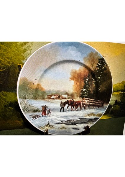 Limoges France 25 cm Çapında Porselen Dekor Tabağı -870651 modelleri
