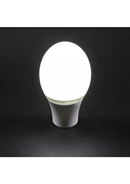 10'lu Beyaz Işık LED Ampul Aydınlatma Aksesuarları E-27 Duy Tipi 10-20W Güç Eşdeğer fiyatları