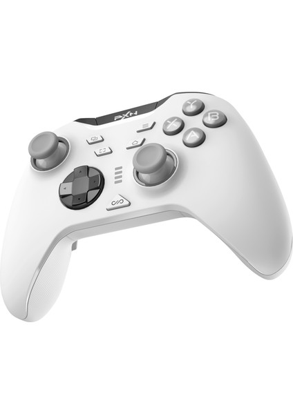 P5 Kablosuz Oyun Denetleyicisi 2.4g Bluetooth Hall Etkisi Gamepad Joystick Oyun Kolu Nintendo/pc/ios/android/steam