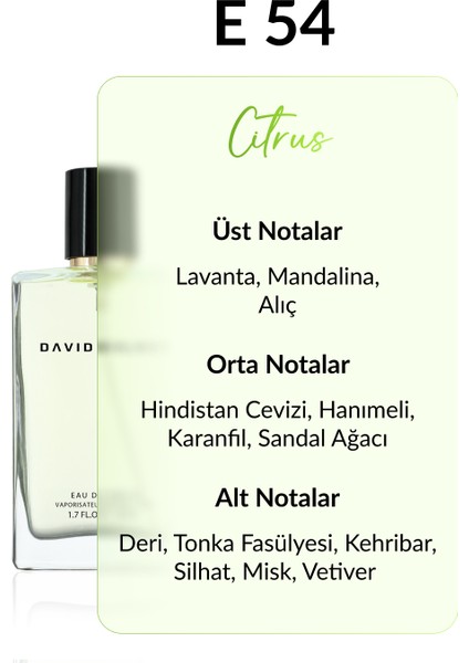 E54 Nonses 50 ml Erkek Parfüm | Citrus fiyatları