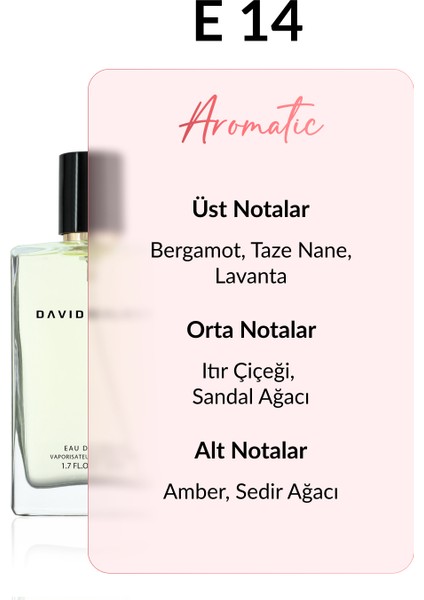 E14 Brunet 50 ml Erkek Parfüm | Aromatic modelleri