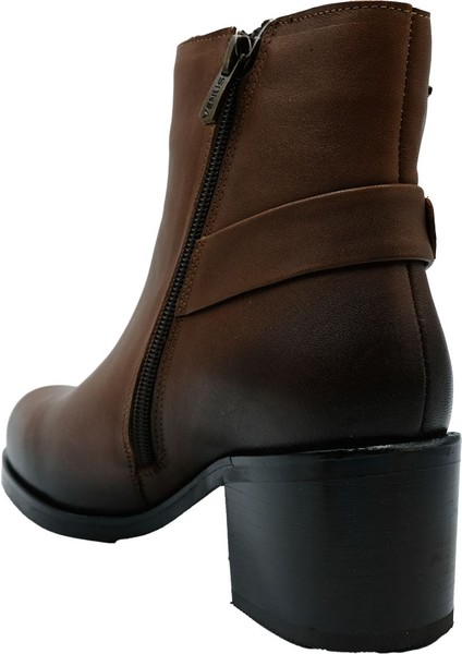 1950931K Venüs Bot modelleri