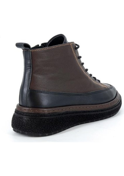 D25KB-1000 Mammamia Bot fırsatları