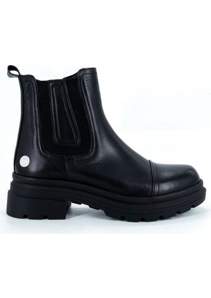 D25KB-1660 Mammamia Bot modelleri