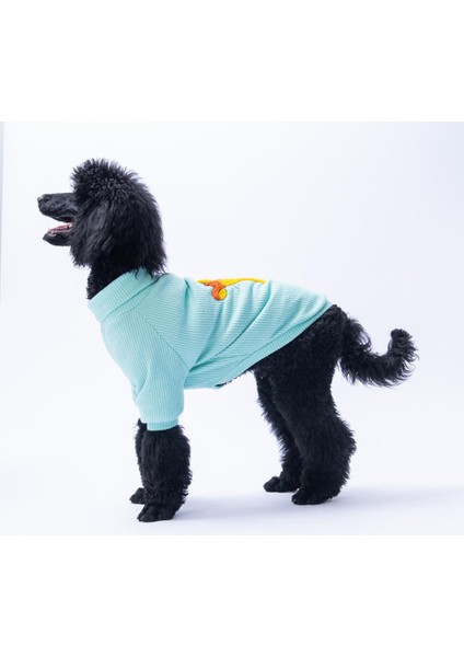 Mint Pooh's Ashdown Tigger Köpek Sweati Köpek Kıyafeti Orta-Büyük Irklar Için modelleri