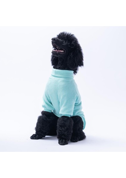 Mint Pooh's Ashdown Tigger Köpek Sweati Köpek Kıyafeti Orta-Büyük Irklar Için fırsatları