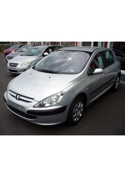 Peugeot 307 2006 ile 2008 Modelleri için Gri Boyalı Motor Kaputu OEM=7901L9 fiyatları