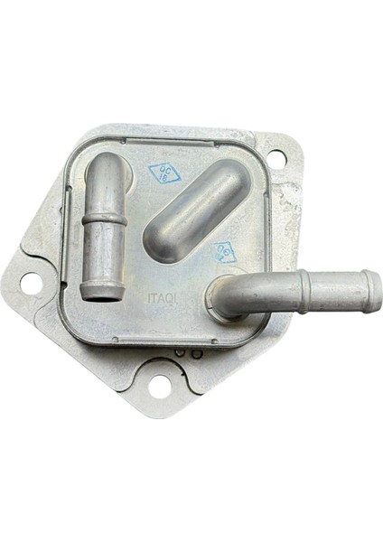 Honda Soğutucu Yağ Cıty 1,5 15-19