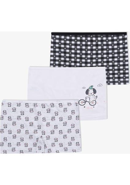 Kız Çocuk 3'lü Avokado Desenli Boxer