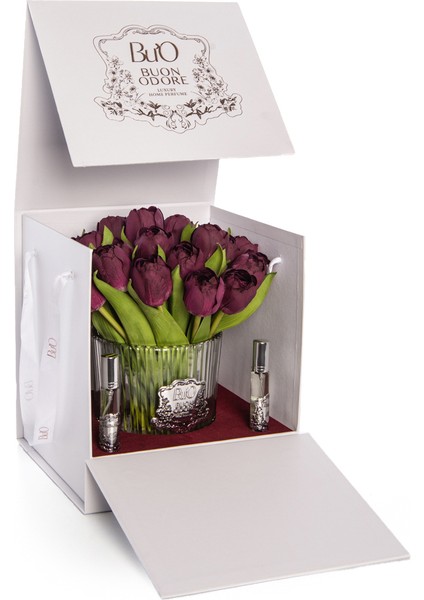 Petita Lale Sılver Vişne fırsatları