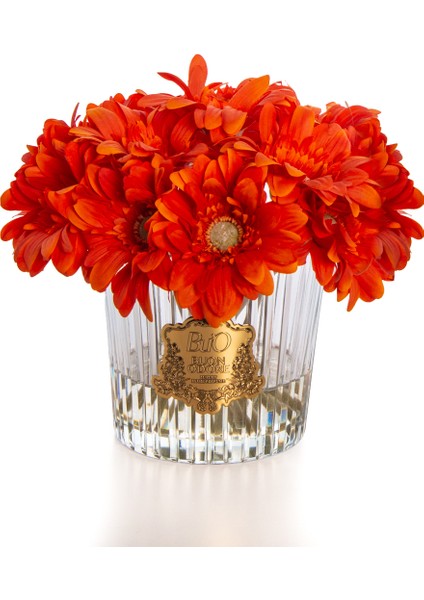Gerbera Gold Turuncu